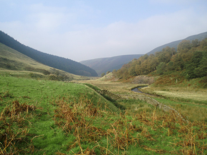 Alport Dale Alport Dale